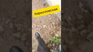 Центр Питера со двора | Кирилловская #санктпетербург #квартира #комната #риэлтор  #недвижимость #дом