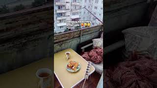 Съемные квартиры в Питере, как отдельный вид искусства 