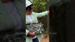 Премиум комплекс в Рощино  #санктпетербург #финскийзалив  #новостройкиспб  #недвижимостьспб