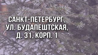 Продажа квартиры: Санкт-Петербург, ул. Будапештская, д. 31, корп. 1. Видео от собственника.