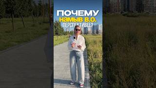 Намыв Васильевского острова в Санкт-Петербурге. Недвижимость