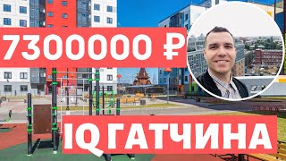 Айкью Гатчина Новостройки СПБ Купить квартиру в Гатчине обзор 2021 старт продаж