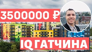 IQ Гатчина Старт продаж от Ленстройтрест Купить квартиру в Гатчине обзор 2021