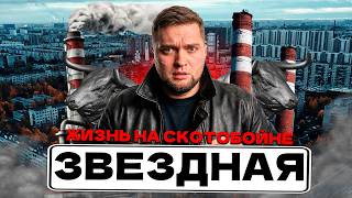 ОБЗОР ЗВЕЗДНАЯ СПБ! Сколько стоить ЖИТЬ и СНИМАТЬ в Московском районе Питера?