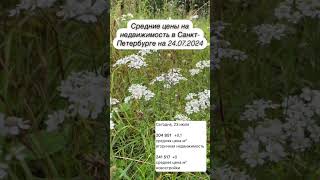 Средние цены на недвижимость в Санкт-Петербурге на 23.07.2024г #юристпонедвижимости #квартирыспб