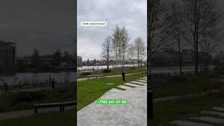 Квартиры на Петровском острове в Санкт-Петербурге от 10 000 000 Петроградский район 2024