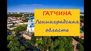 Питер Гатчина Ленинградская обл