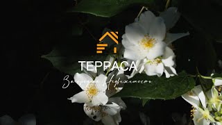 👍👍👍 Санкт-Петербург КВАРТИРА от ТЕРРАСА Загородная Недвижимость.  Метро Кировский завод.