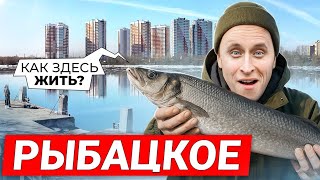 РЫБАЦКОЕ 2025 / Квартиры с пропиской СПб с видом на Неву - ПЛЮСЫ И МИНУСЫ района
