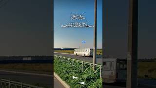 ПРОСТО ПОЛЕ 