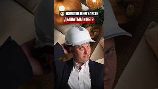 Экология в "Нигилисте" - дышать или нет? | Новостройки СПб