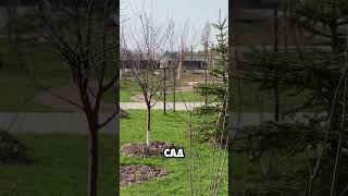 ИДЕАЛЬНЫЙ ЖК ДЛЯ СДАЧИ В АРЕНДУ В ЦЕНТРЕ САНКТ-ПЕТЕРБУРГА