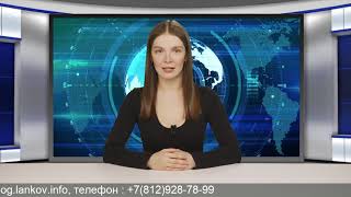 Чем грозит занижение цены в договоре купли-продажи участникам сделок с недвижимостью?