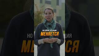 ЧТО стало с Московским районом? #Недвижимость #РайоныПитера #Спб