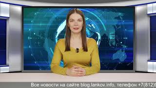 Виртуальный рост цен может завершиться жесткой стагнацией.