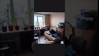 Сколько стоит эта хата в Питере!? #аренда #недвижимость #жилье #квартира #рек #рекомендации