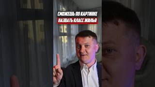 Сможешь по картинке назвать класс жилья? | Новостройки СПб