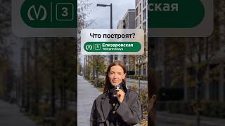 Терраса утром, эркер вечером: квартиры у метро «Елизаровская»