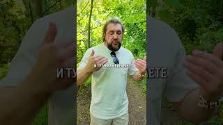 Как найти ДЕШЕВУЮ квартиру в Питере? #Питер #Недвижимость #БюджетноеЖильё