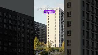 Локации роста цен на недвижимость в Санкт-Петербурге #недвижимостьспб #квартирыспб