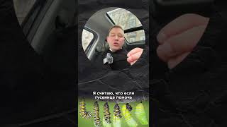 Согласны со мной? Пишите в комментариях