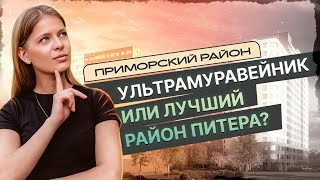 Не покупай в Приморском, пока не посмотришь это видео! ULTRA CITY 3.0 и Прайм