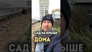Сад на крыше дома