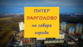 Питер Парголово Новостройки