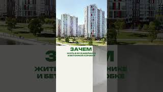 Скоро все переедут из СПб, потому что цены на квартиры перешли все границы