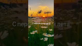 Супер агент Петербурга #недвижимость #санктпетербург #квартира #эрмитаж #realestate #курортныйрайон