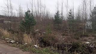 Деревня Агалатово.