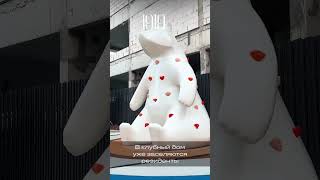 Новостройки Санкт-Петербурга