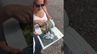 Моменты Репино #газобетонхаус #санктпетербург #петрэстеит #недвижимость #репино