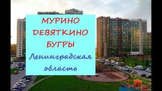 Питер Мурино м Девяткино Бугры Продолжение