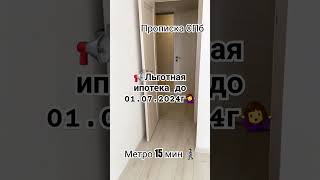 #недвижимость #санктпетербург #ипотека #санктпетербург #квартира #тренд #инвестиции