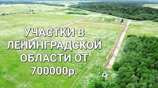 Продажа участков в Ленинградской области 
